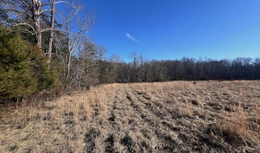 Photo #42 of Off of White House Road, Moneta, VA 17.2 acres