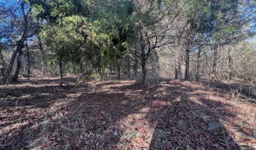 Photo #43 of Off of White House Road, Moneta, VA 17.2 acres