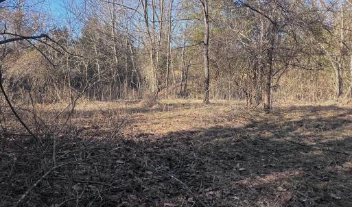 Photo #44 of Off of White House Road, Moneta, VA 17.2 acres