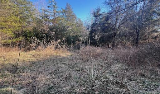 Photo #45 of Off of White House Road, Moneta, VA 17.2 acres