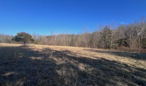 Photo #46 of Off of White House Road, Moneta, VA 17.2 acres