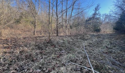 Photo #47 of Off of White House Road, Moneta, VA 17.2 acres