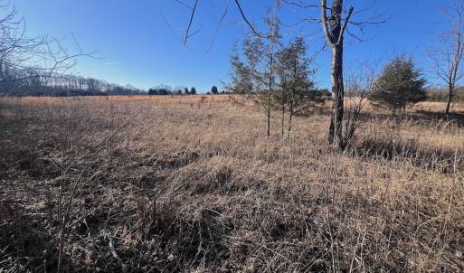 Photo #50 of Off of White House Road, Moneta, VA 17.2 acres