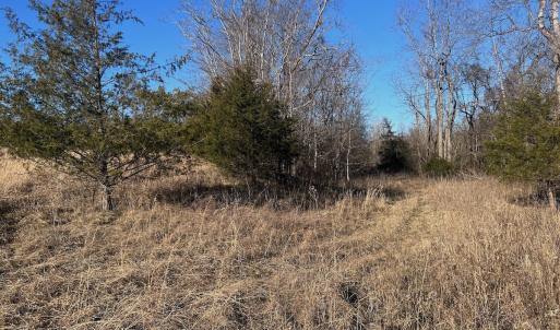 Photo #51 of Off of White House Road, Moneta, VA 17.2 acres
