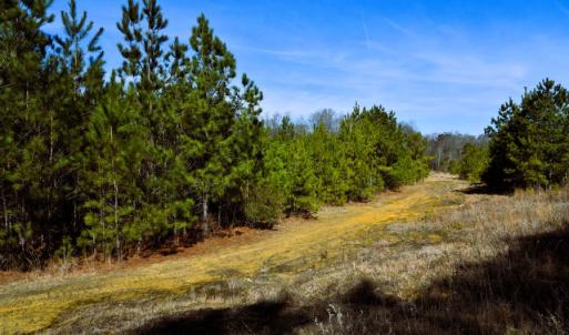 Photo #3 of Off  US 64 Bypass, Tarboro, NC 45.0 acres