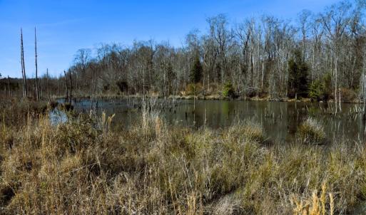 Photo #4 of Off  US 64 Bypass, Tarboro, NC 45.0 acres