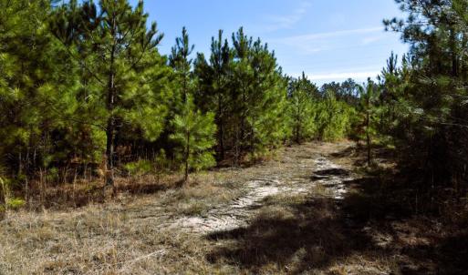 Photo #5 of Off  US 64 Bypass, Tarboro, NC 45.0 acres