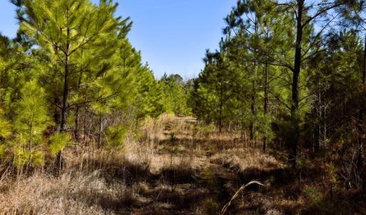 Photo #6 of Off  US 64 Bypass, Tarboro, NC 45.0 acres