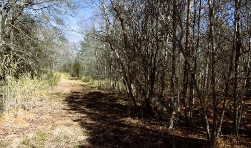 Photo #11 of Off  US 64 Bypass, Tarboro, NC 45.0 acres