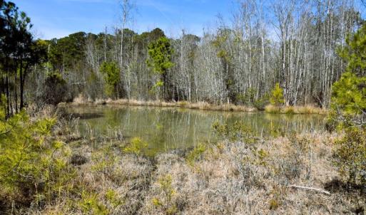 Photo #13 of Off  US 64 Bypass, Tarboro, NC 45.0 acres