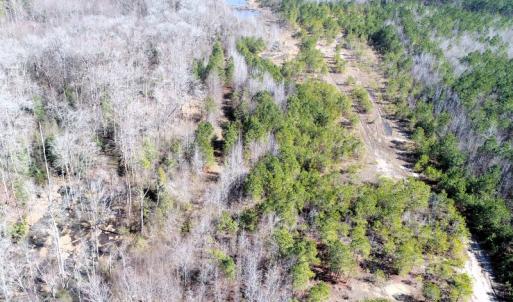 Photo #14 of Off  US 64 Bypass, Tarboro, NC 45.0 acres