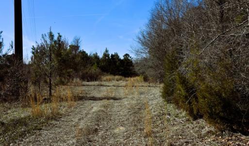 Photo #18 of Off  US 64 Bypass, Tarboro, NC 45.0 acres