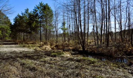 Photo #25 of Off  US 64 Bypass, Tarboro, NC 45.0 acres
