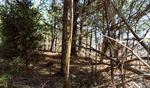 Photo #28 of Off  US 64 Bypass, Tarboro, NC 45.0 acres