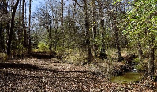 Photo #31 of Off  US 64 Bypass, Tarboro, NC 45.0 acres