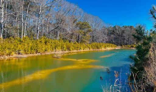 Photo #13 of Off of Saxis Rd, Temperanceville, VA 76.2 acres