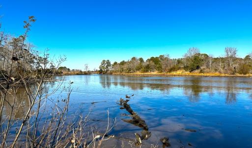 Photo #16 of Off of Saxis Rd, Temperanceville, VA 76.2 acres