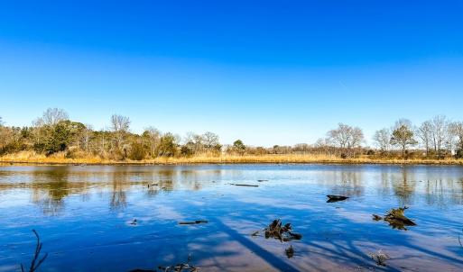 Photo #17 of Off of Saxis Rd, Temperanceville, VA 76.2 acres