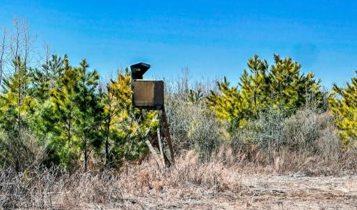 Photo #19 of Off of Saxis Rd, Temperanceville, VA 76.2 acres