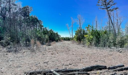 Photo #20 of Off of Saxis Rd, Temperanceville, VA 76.2 acres