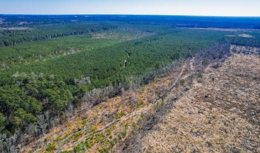 Photo #6 of Off of Saxis Rd, Temperanceville, VA 76.2 acres