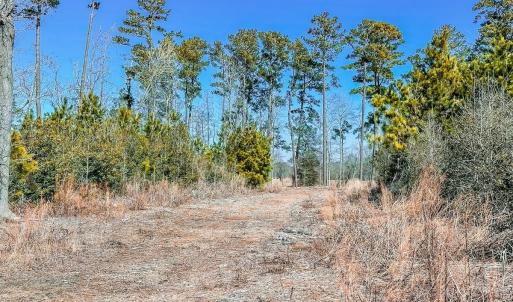 Photo #21 of Off of Saxis Rd, Temperanceville, VA 76.2 acres