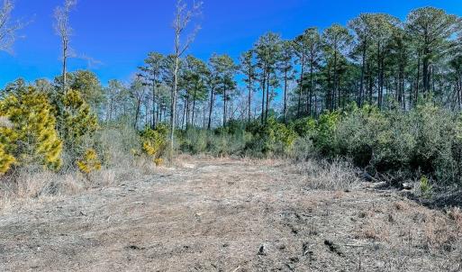 Photo #22 of Off of Saxis Rd, Temperanceville, VA 76.2 acres