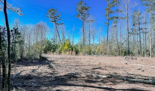 Photo #23 of Off of Saxis Rd, Temperanceville, VA 76.2 acres
