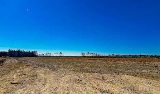 Photo #25 of Off of Saxis Rd, Temperanceville, VA 76.2 acres