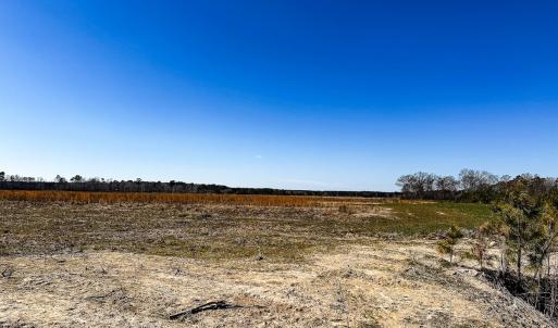 Photo #26 of Off of Saxis Rd, Temperanceville, VA 76.2 acres