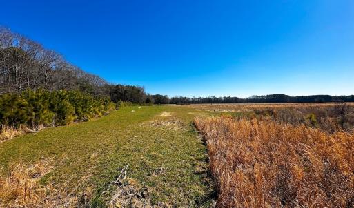 Photo #27 of Off of Saxis Rd, Temperanceville, VA 76.2 acres