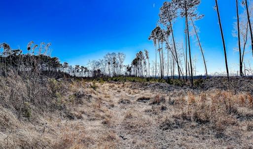 Photo #31 of Off of Saxis Rd, Temperanceville, VA 76.2 acres
