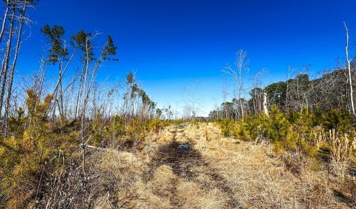Photo #33 of Off of Saxis Rd, Temperanceville, VA 76.2 acres