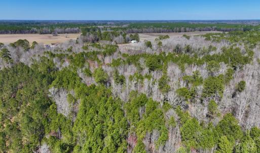 Photo #14 of Off Griffintown Road,  Woodland, NC 11.3 acres