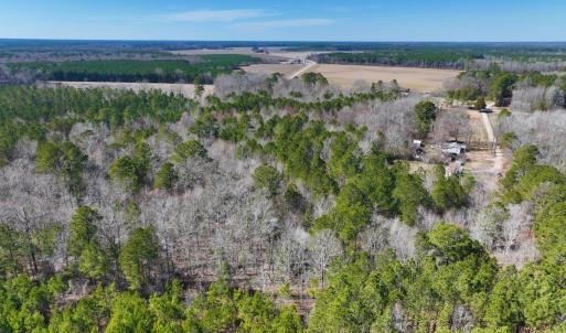Photo #34 of Off Griffintown Road,  Woodland, NC 11.3 acres