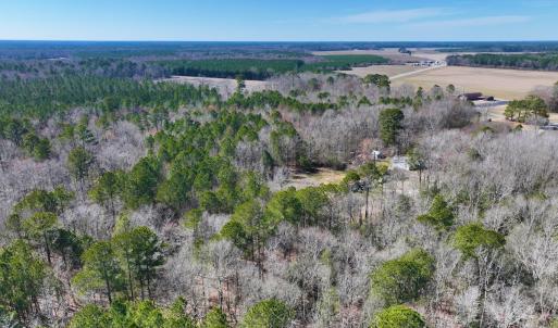 Photo #37 of Off Griffintown Road,  Woodland, NC 11.3 acres