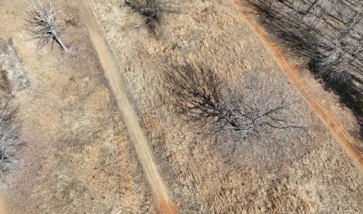 Photo #17 of Green Oak Lane, Patrick Springs, VA 4.7 acres