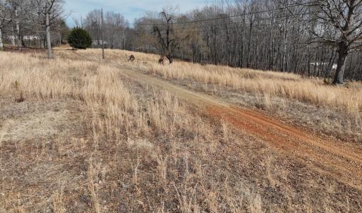 Photo #21 of Green Oak Lane, Patrick Springs, VA 4.7 acres