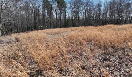 Photo #28 of Green Oak Lane, Patrick Springs, VA 4.7 acres