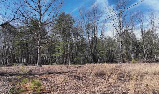 Photo #29 of Green Oak Lane, Patrick Springs, VA 4.7 acres