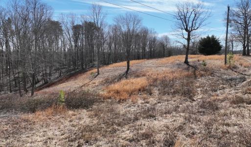 Photo #32 of Green Oak Lane, Patrick Springs, VA 4.7 acres