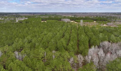 Photo #10 of 90000 Sheppard Mill Rd, Greenville, NC 254.0 acres