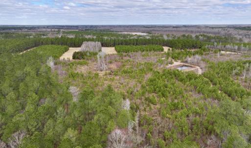 Photo #11 of 90000 Sheppard Mill Rd, Greenville, NC 254.0 acres