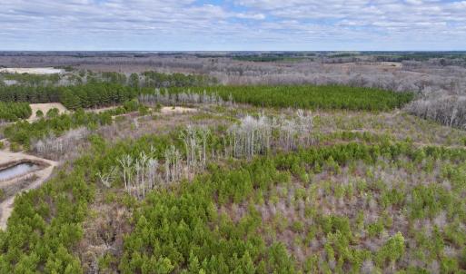 Photo #12 of 90000 Sheppard Mill Rd, Greenville, NC 254.0 acres