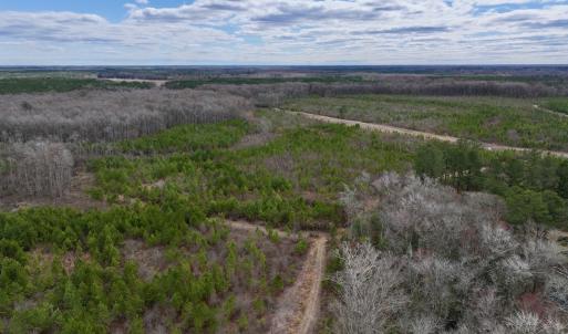 Photo #13 of 90000 Sheppard Mill Rd, Greenville, NC 254.0 acres