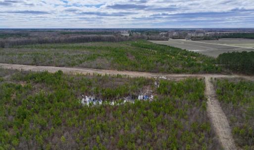 Photo #14 of 90000 Sheppard Mill Rd, Greenville, NC 254.0 acres
