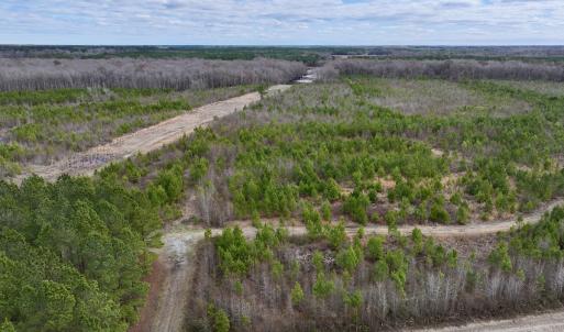 Photo #15 of 90000 Sheppard Mill Rd, Greenville, NC 254.0 acres