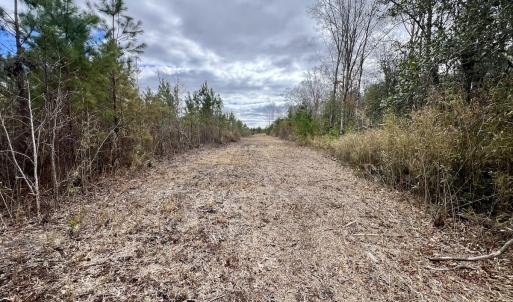 Photo #16 of 90000 Sheppard Mill Rd, Greenville, NC 254.0 acres