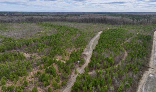 Photo #18 of 90000 Sheppard Mill Rd, Greenville, NC 254.0 acres