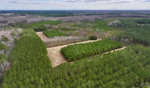 Photo #1 of 90000 Sheppard Mill Rd, Greenville, NC 254.0 acres